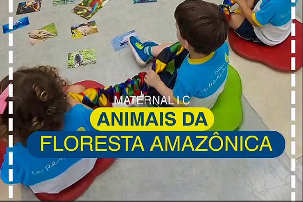 Animais da floresta amaznica! - Colgio Le Perini. Educao Infantil e Ensino Fundamental. Indaiatuba, SP