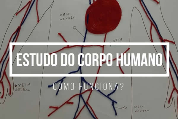 Estudo do Corpo Humano - Colgio Le Perini. Educao Infantil e Ensino Fundamental. Indaiatuba, SP